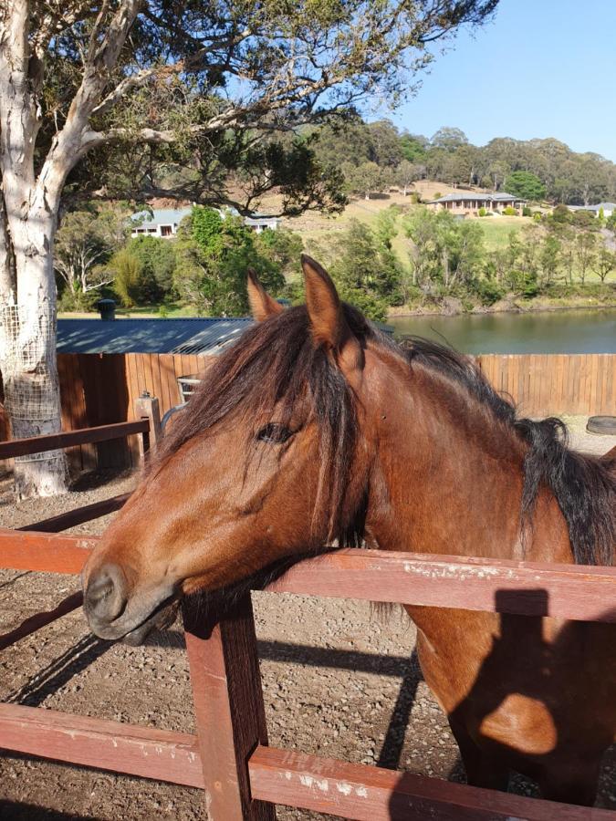 Park View Guest House Albion Park Esterno foto